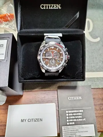 CITIZEN PROMASTER 에코 드라이브 시계