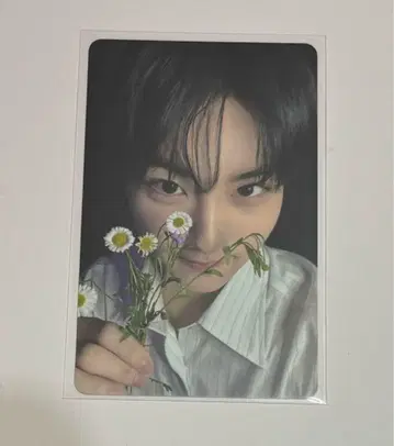ENHYPEN 정원 타워 레코드 럭키 드로우 트레이딩 카드