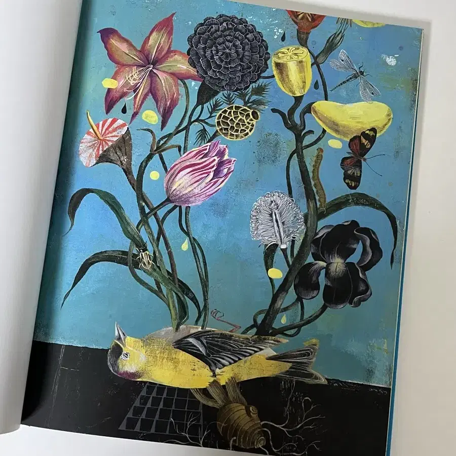 OLAF HAJEK - FLOWERHEAD Fine Art Painting Art Book on