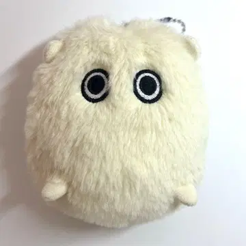 Eve 꽃보라 케다마 짱