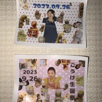 사바시스터