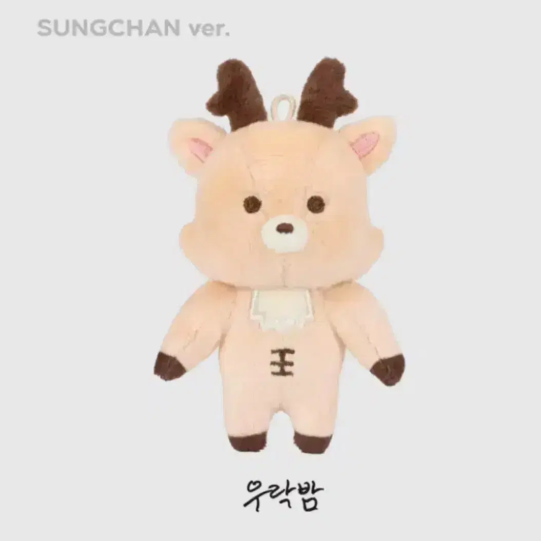 RIIZE ランダムトイ　ソンチャン SUNGCHAN コンプリート 6点セット RIIZE | 라이즈 Riize Japan Concert Rising Loud Random Toy
