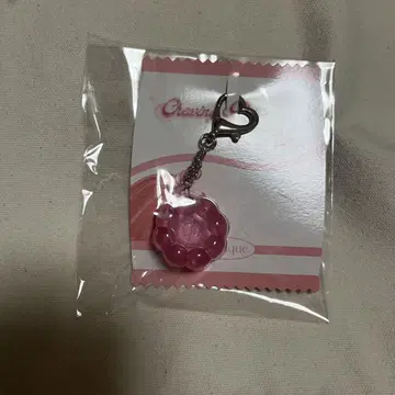 데이지크 츄잉 포트 키링