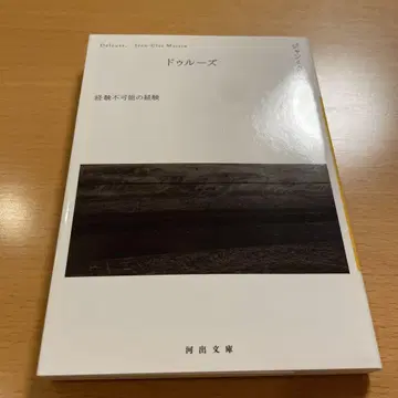 [절판 레어 컨디션 최상] 들뢰즈 경험불가능의 경험 장-클레 마르탱