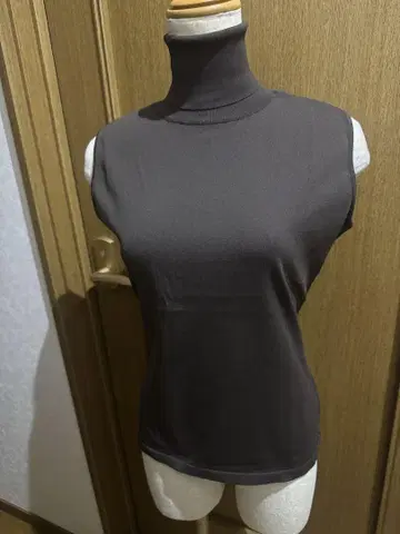 폭시 Foxey 터틀 가토 쇼콜라