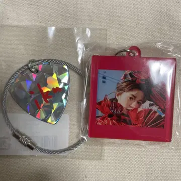 이쿠타 에리카 키링