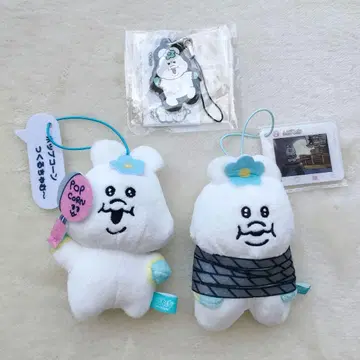 세트