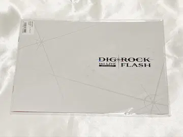 DIG-ROCK 1st LIVE FLASH 팜플렛