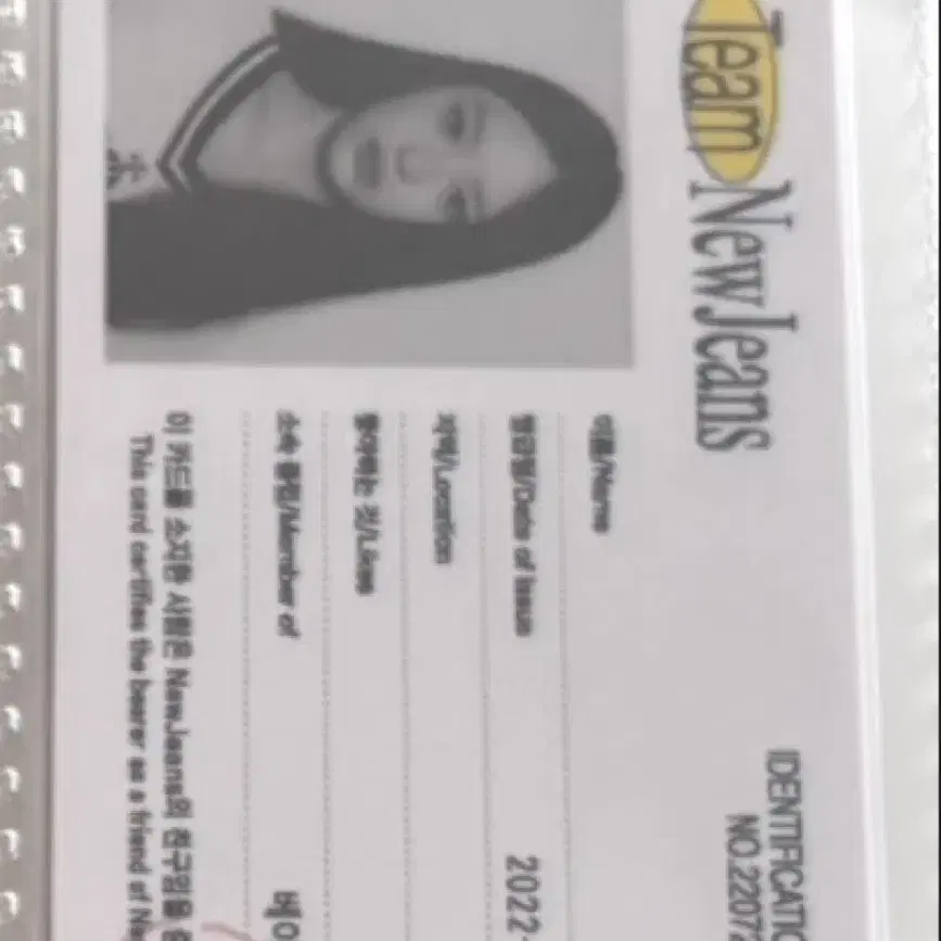 NEW JEANS | 뉴진스 New Jeans Hanni ID Card Photocard Poca