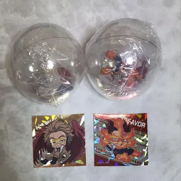 코로코레 호크스, 엔데버 히로아카