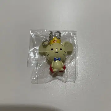 쥐 스트랩 중앙대학교