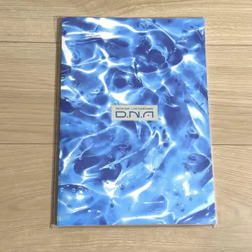 즉시 구매 A! group D.N.A 팜플렛