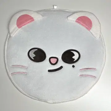 straykids 지니레트 부채 커버