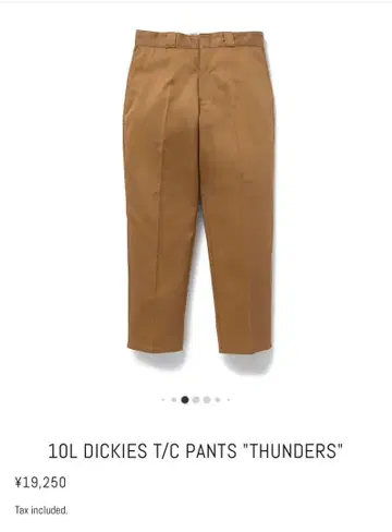 Dickies T/C Pants 'Thunders' 10L 베이지