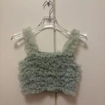 Ballerina' fairy 튤 부스티에 (mint)