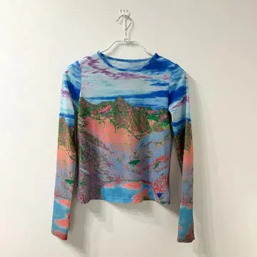 MAISON SPECIAL Landscape Print Sheer Top