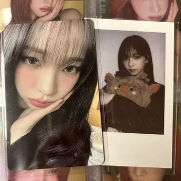 카리나 트레이딩 카드