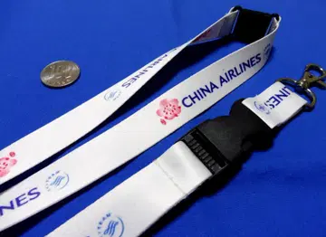 중화항공 China Airlines 넥스트랩 스카이팀 대만 타이베이