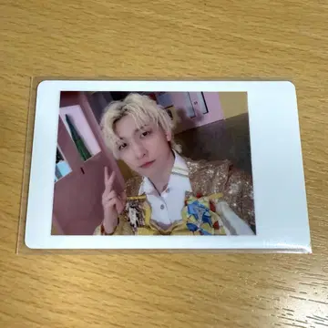 팬더드래곤 요우타 하피카 11