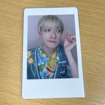 팬더드래곤 요우타 하피카 17
