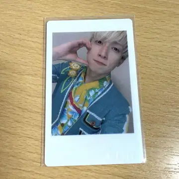 팬더드래곤 요우타 하피카 18