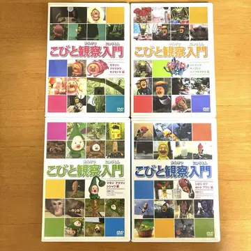 [재생 확인 완료] 코비토 도감 관찰 입문 DVD 4장 세트