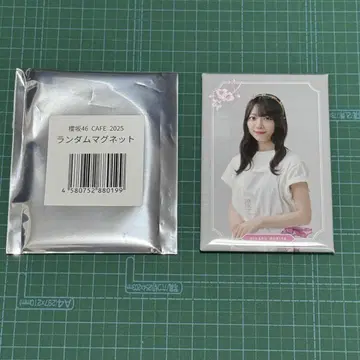 사쿠라자카46 모리타 히카루 카페 2025 랜덤 마그넷