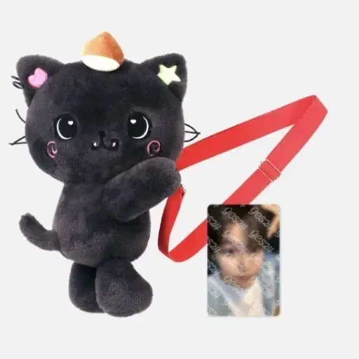 NCT | 엔시티 Nct Wish Riku Kuri Wishdoll Bag on Bunjang