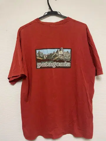 Patagonia 백 프린트 티셔츠 USA 제작 빈티지