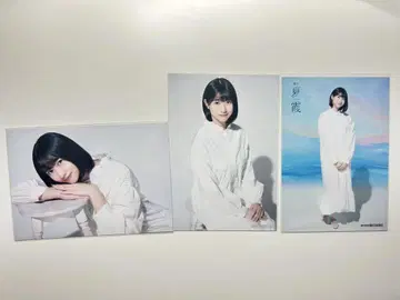 야에가시 미이사키 여름 아지랑이 브로마이드 세트