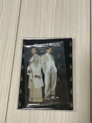 KinKi Kids 콘서트 굿즈 DOMOTO 아크릴 스탠드