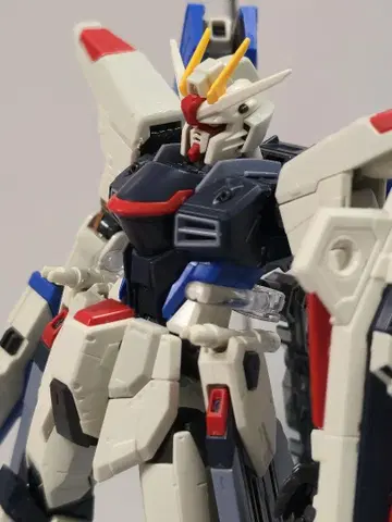RG 프리덤 건담
