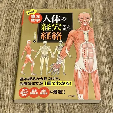 [레어 도서] [도해] 동양의학 인체의 경혈(츠보)과 경락