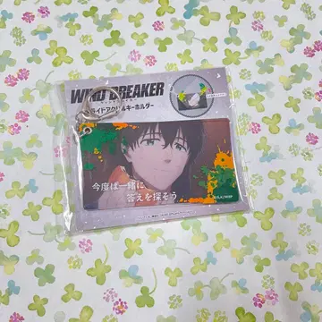 WIND BREAKER 슬라이드 아크릴 키링 토가메 죠 메모리얼