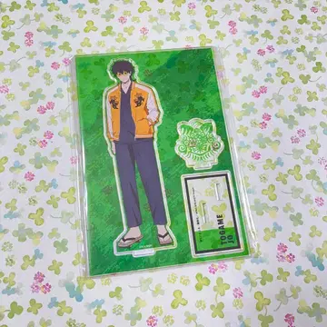 WIND BREAKER 토가메 죠 파츠 포함 BIG 아크릴 스탠드