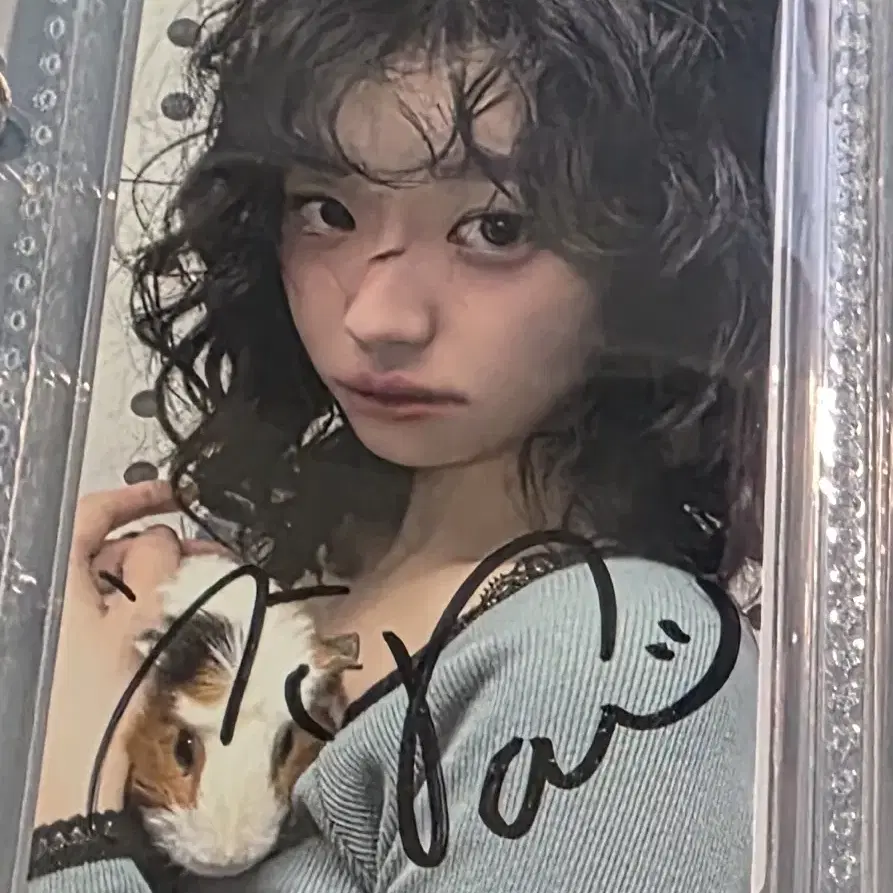 QWER CHODAN チョダン フォトカード I'm doing the QWER popup store Chodan photo card | eBay