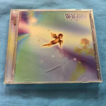 WALRUS 빛의 조각 CD