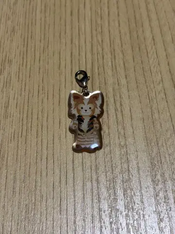 [ 익일 배송 ] 극단 사계 캐츠 코리코파트 시크릿 참