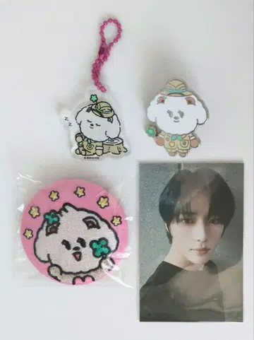 TXT 뿔바투 가챠 자수 캔뱃지 범규 특전 트레이딩 카드 범규