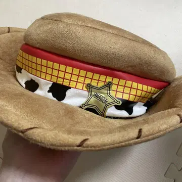 토이 스토리 우디의 모자