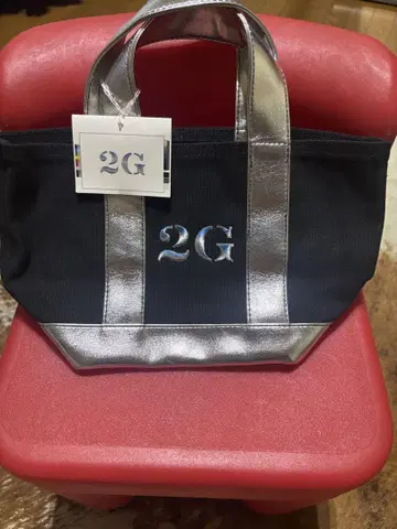 2G 핸드백