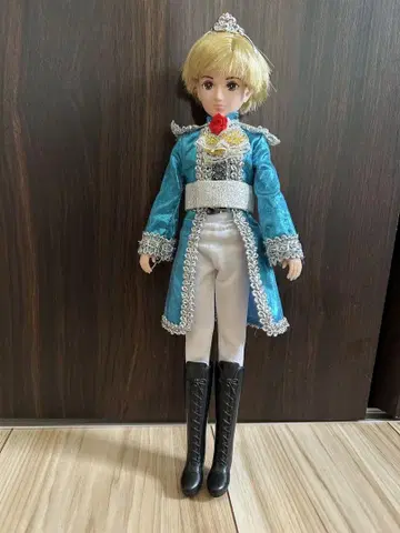 리카 인형 왕자님 인형