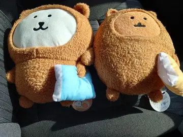 나가노, 겨울잠 잘까 봉제 인형