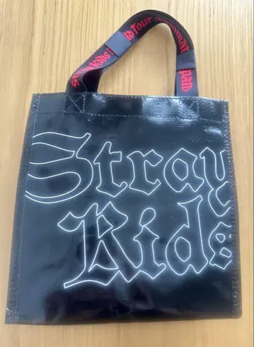 StrayKids 스키즈 업그레 혜택 누락 없음