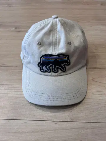 Patagonia 파타고니아 야구 모자 베이지