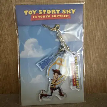 스카이트리 한정판 toystory 토이스토리 우디