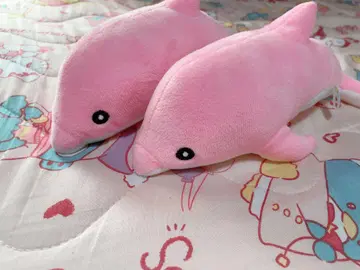 아오모리 아사무시 수족관 봉제 인형