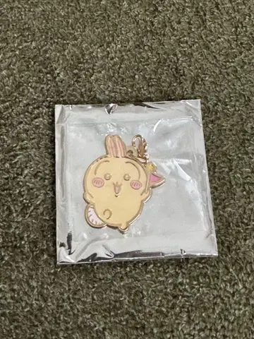 치이카와 파크 토끼 참