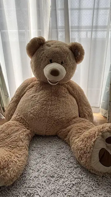 곰 봉제 인형 코스트코 베이지 브라운