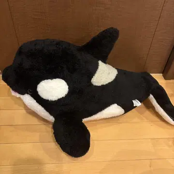 샤치 봉제 인형 가모가와 씨월드